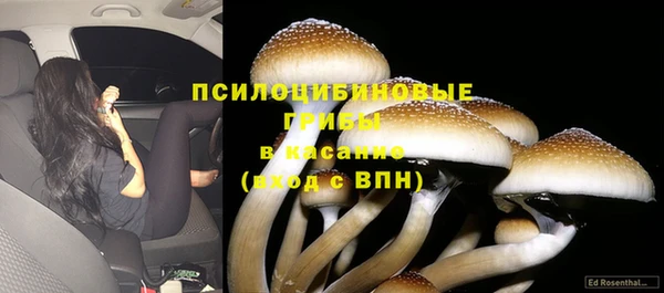 mdma Михайлов