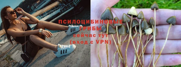 трава Туринск